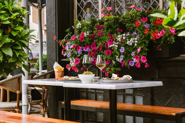 Wine bars and specialist venues