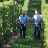 North South Wines LTD